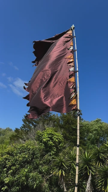 Flag Fiesta / Bunting Decoration Hire / Installation