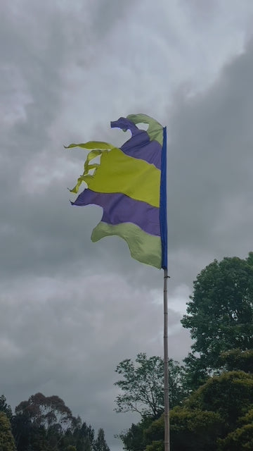 Flag Fiesta Installation / Hire