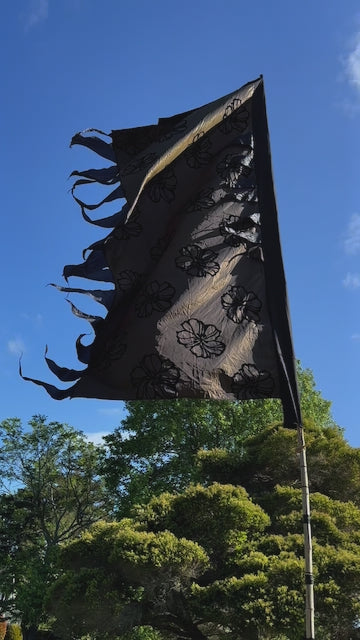 Flag Fiesta Installation / Hire