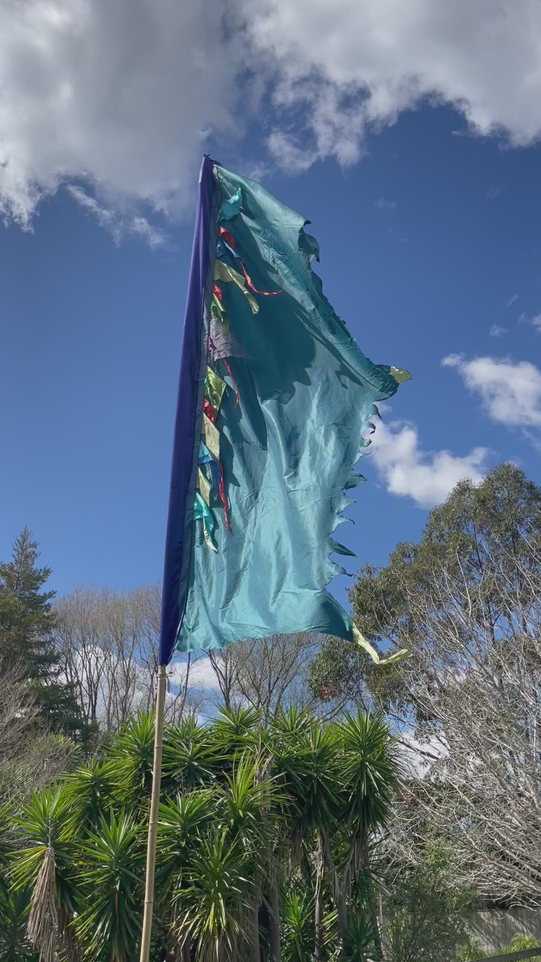 Flag Fiesta Installation / Hire