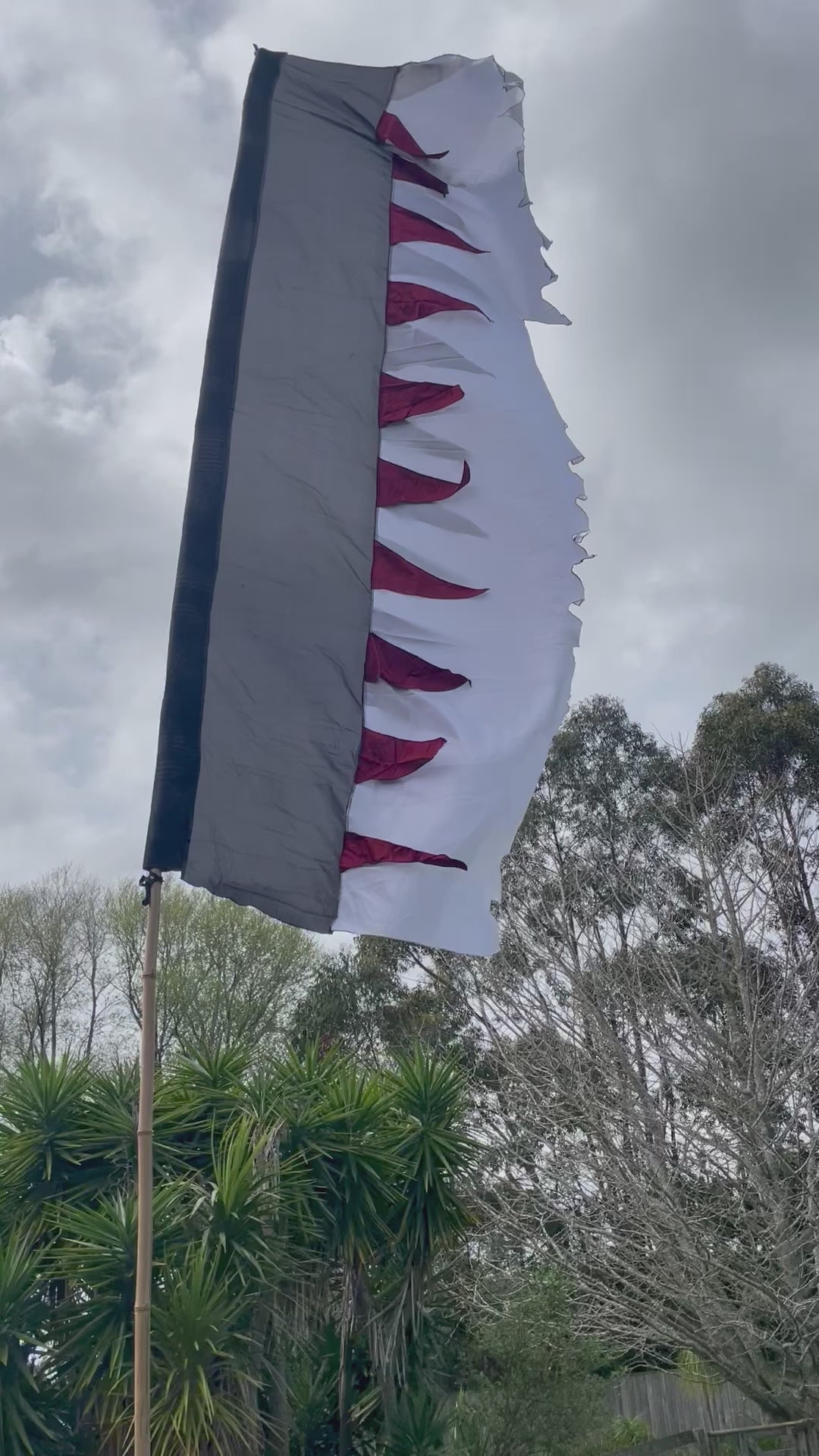 Flag Fiesta Installation / Hire