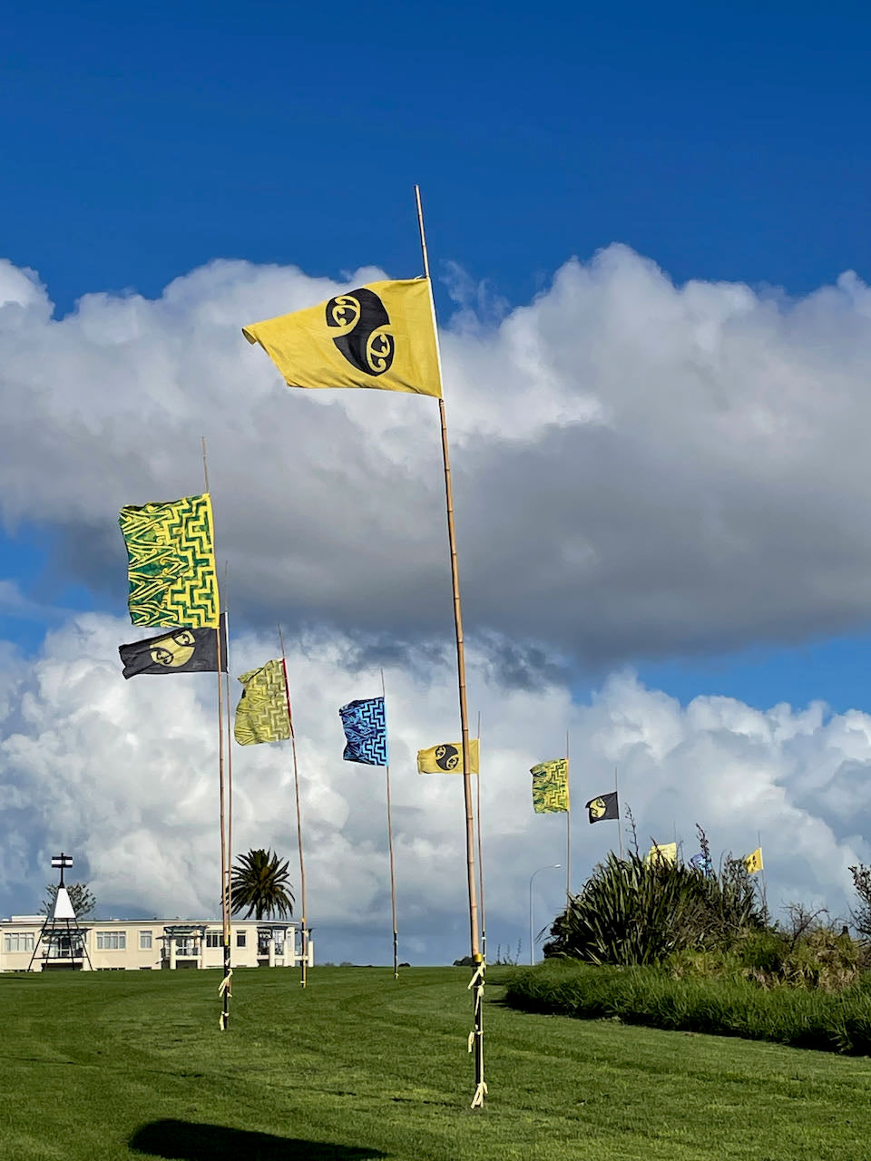 Flag Fiesta / Bunting Decoration Hire / Installation