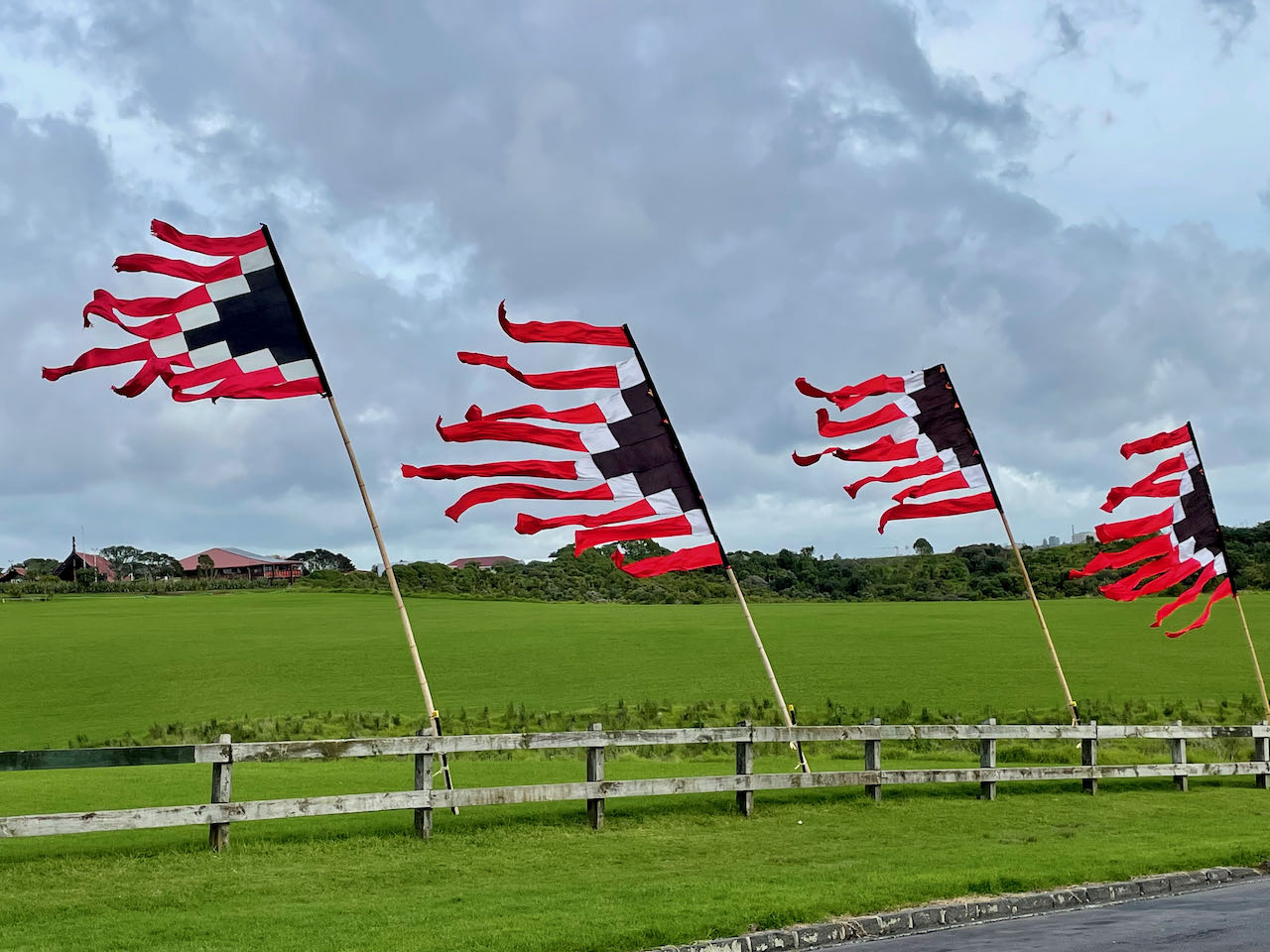 Flag Fiesta / Bunting Decoration Hire / Installation