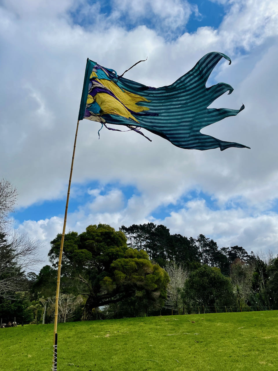 Flag Fiesta / Bunting Decoration Hire / Installation