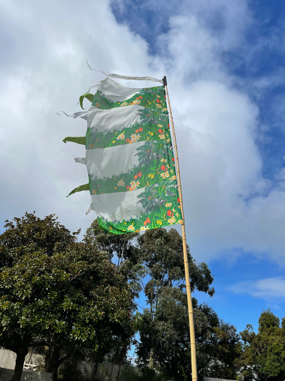 Flag Fiesta / Bunting Decoration Hire / Installation