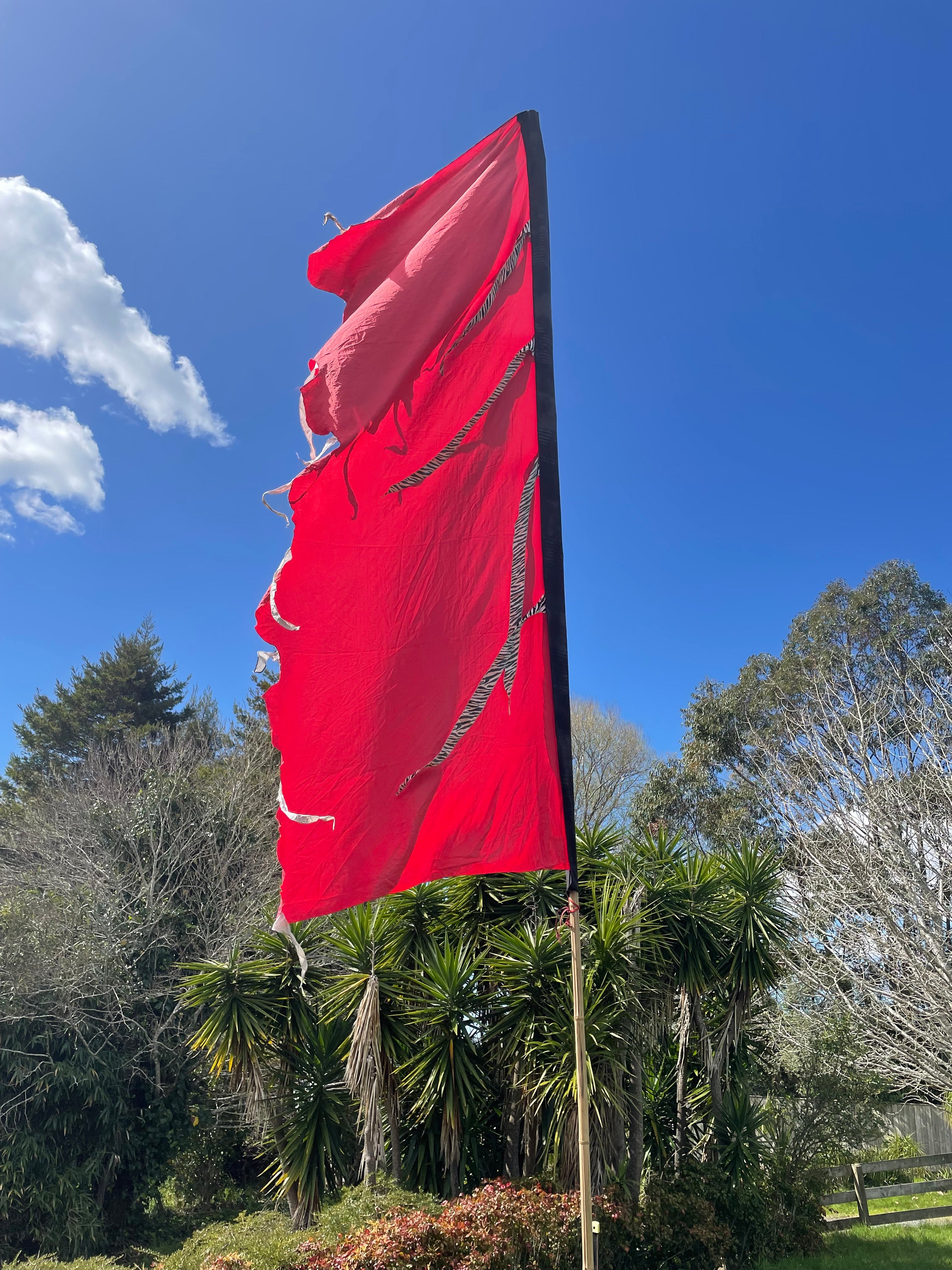 Flag Fiesta Installation / Hire