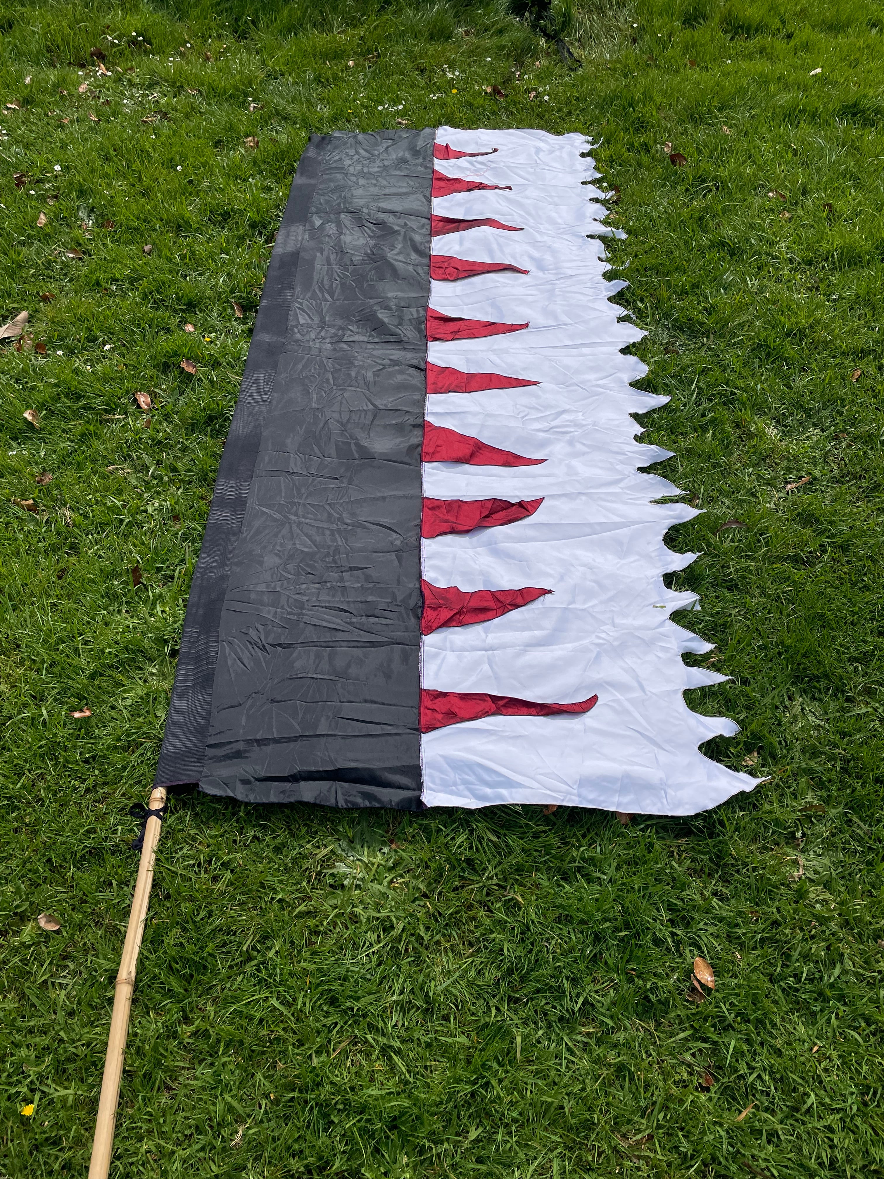 Flag Fiesta Installation / Hire
