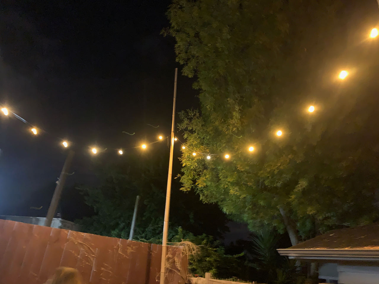 Festoon Lighting Installation