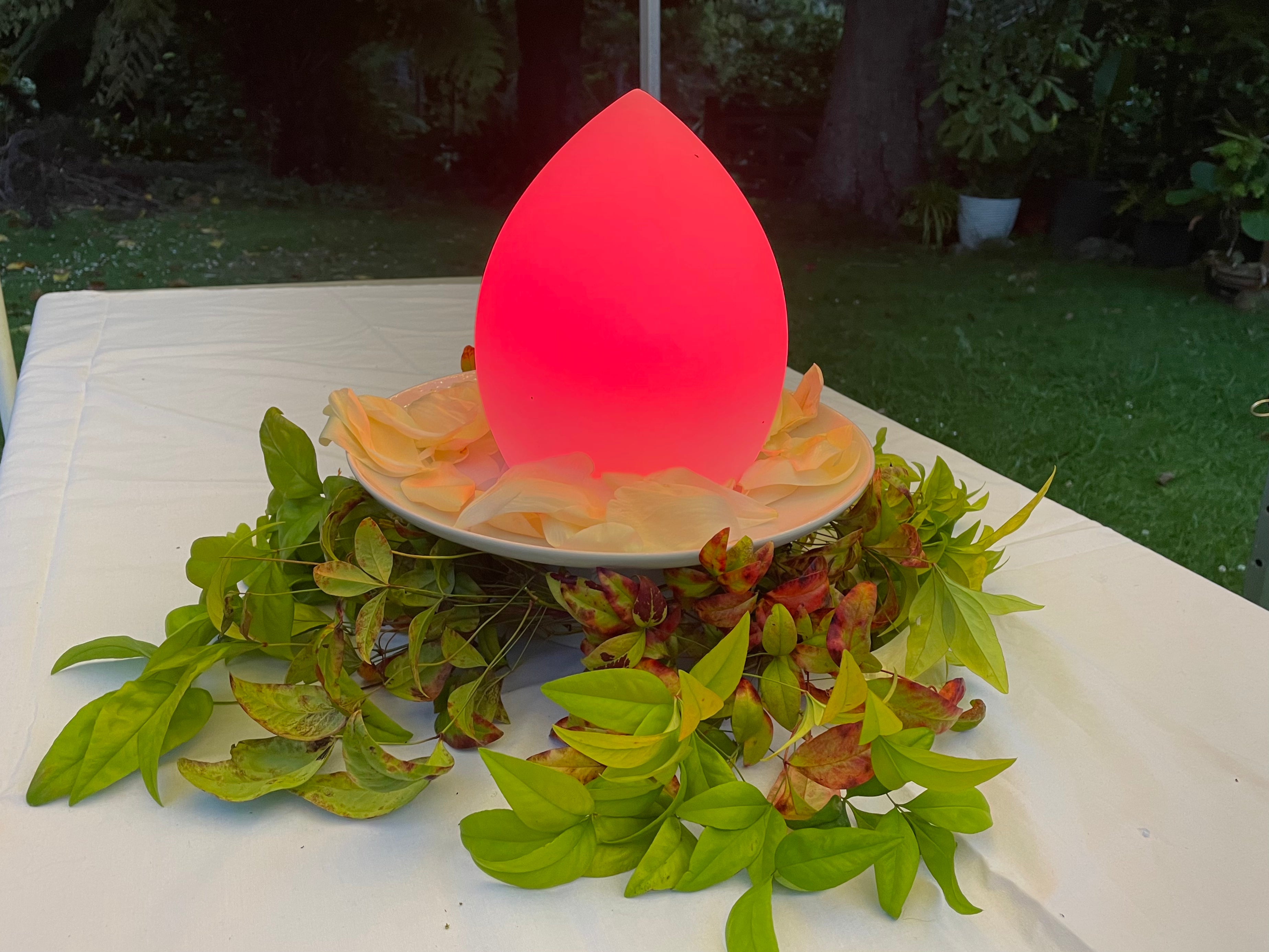 LED Table Lamp Hire