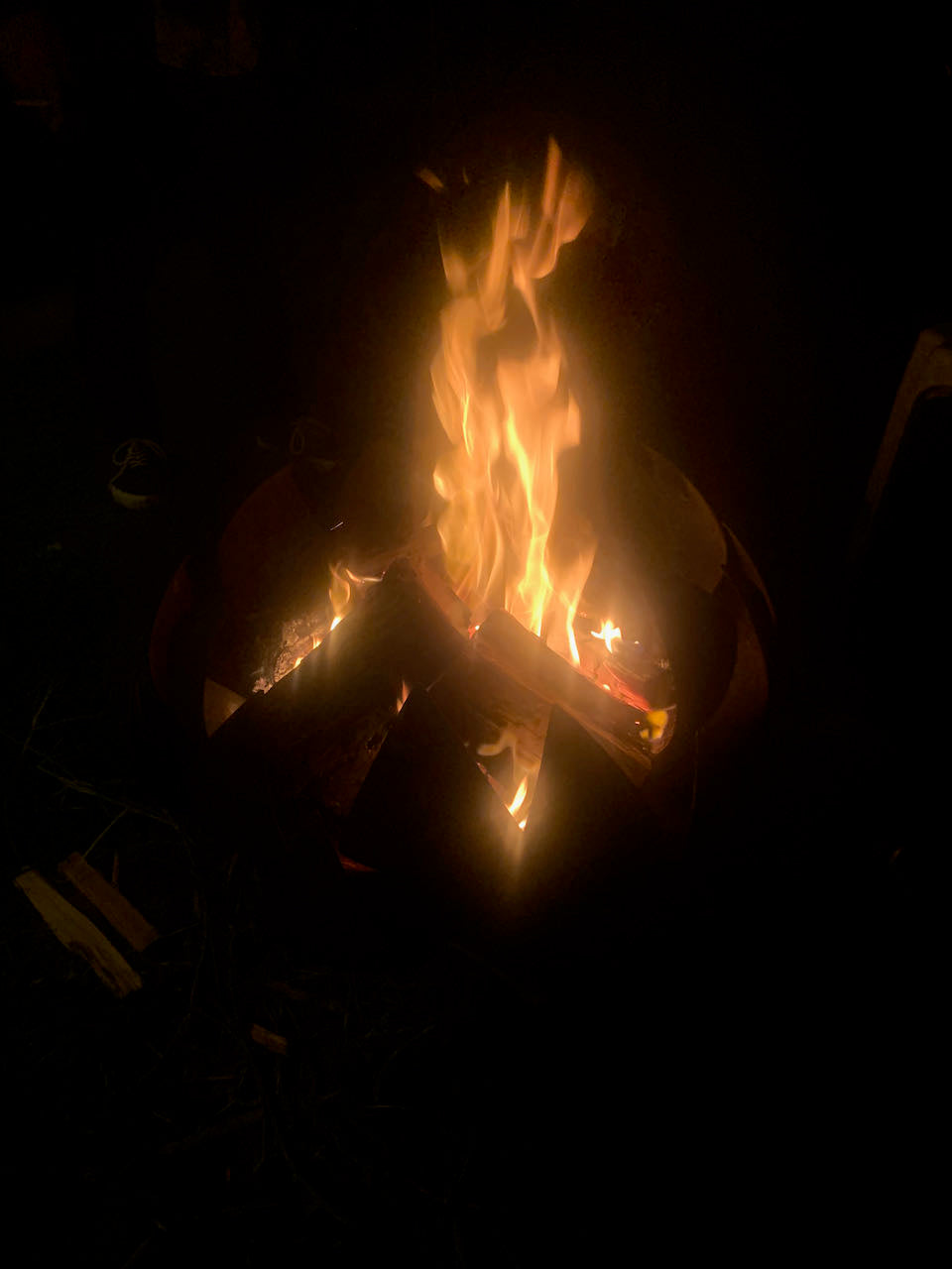 Large Lotus shaped Brazier