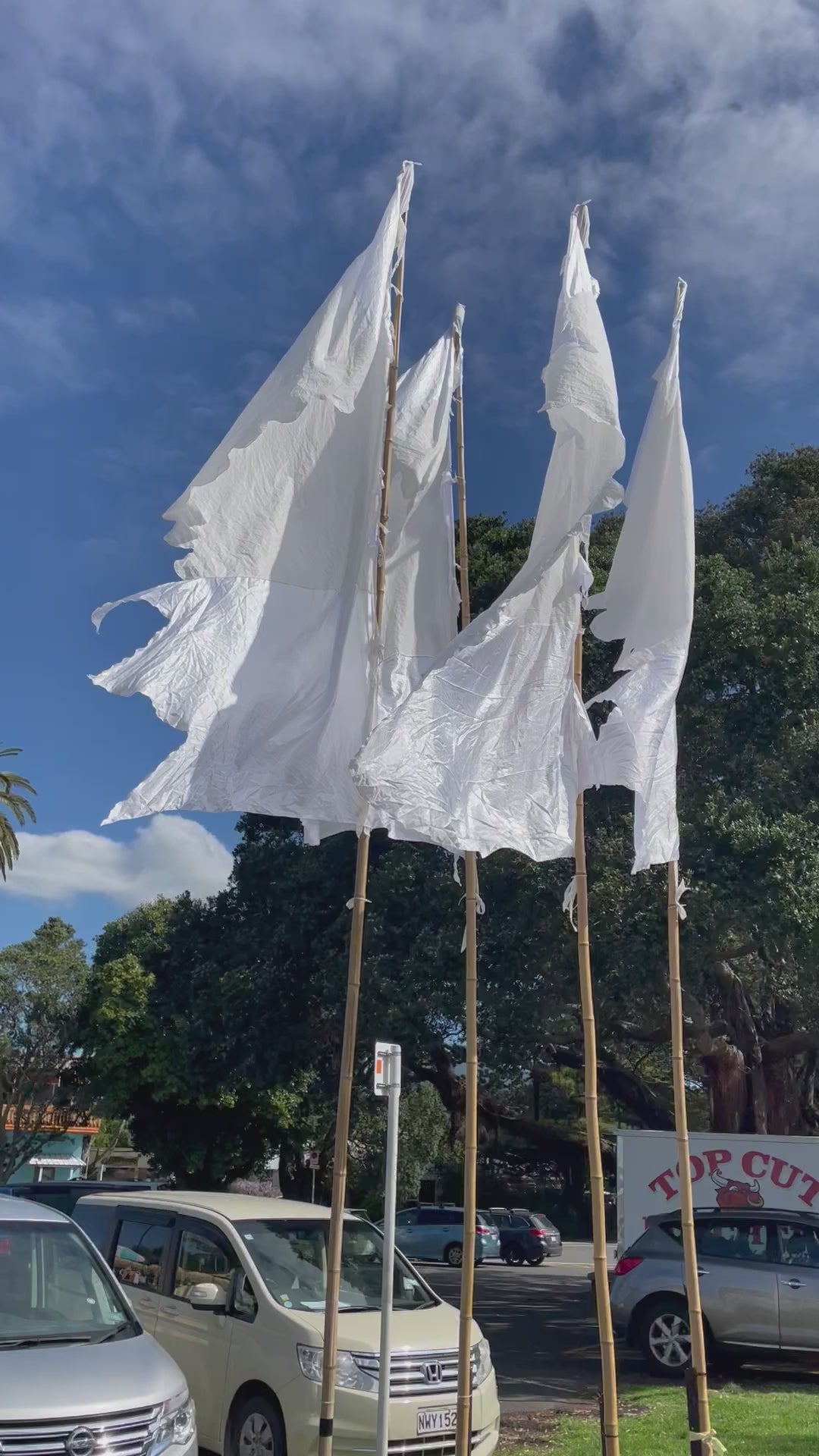 Flag Fiesta Installation / Hire