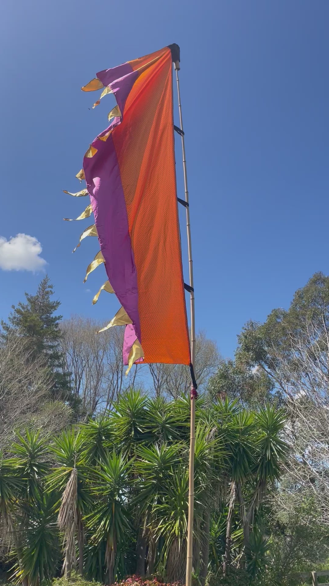 Flag Fiesta Installation / Hire
