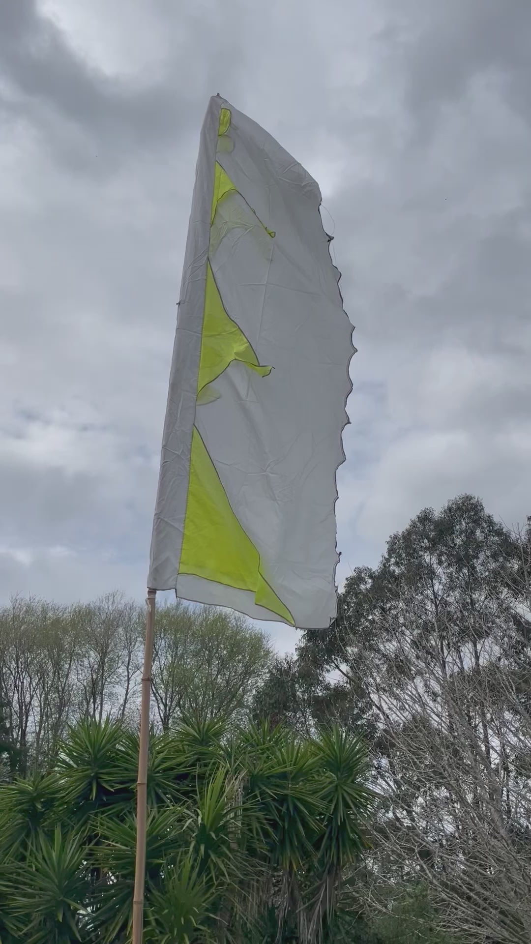 Flag Fiesta Installation / Hire