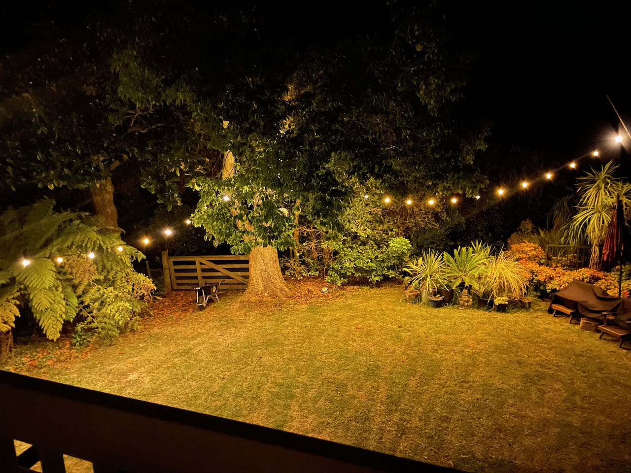 Festoon lighting - Warm White (Clear bulbs)