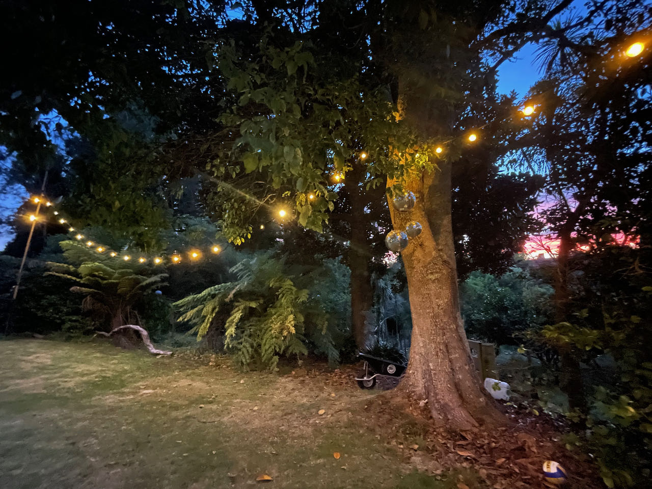 Festoon lighting - Warm White (Clear bulbs)