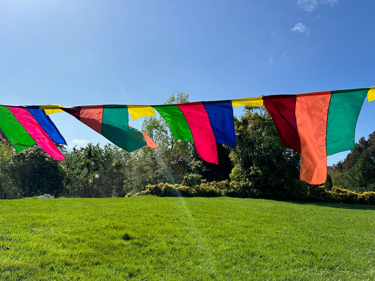 Flag Fiesta / Bunting Decoration Hire / Installation