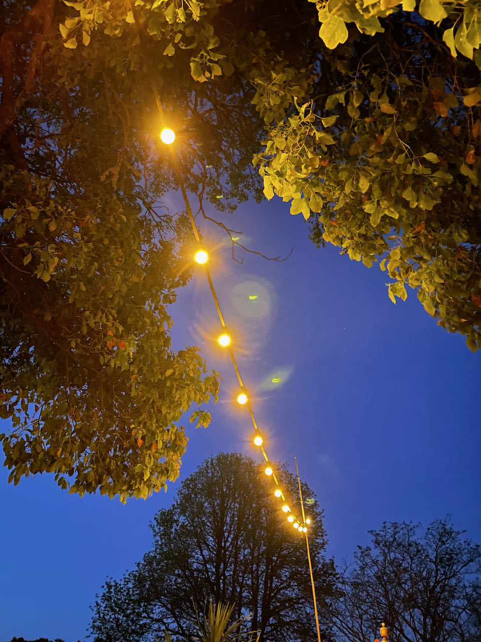 Festoon lighting - Warm White (Clear bulbs)