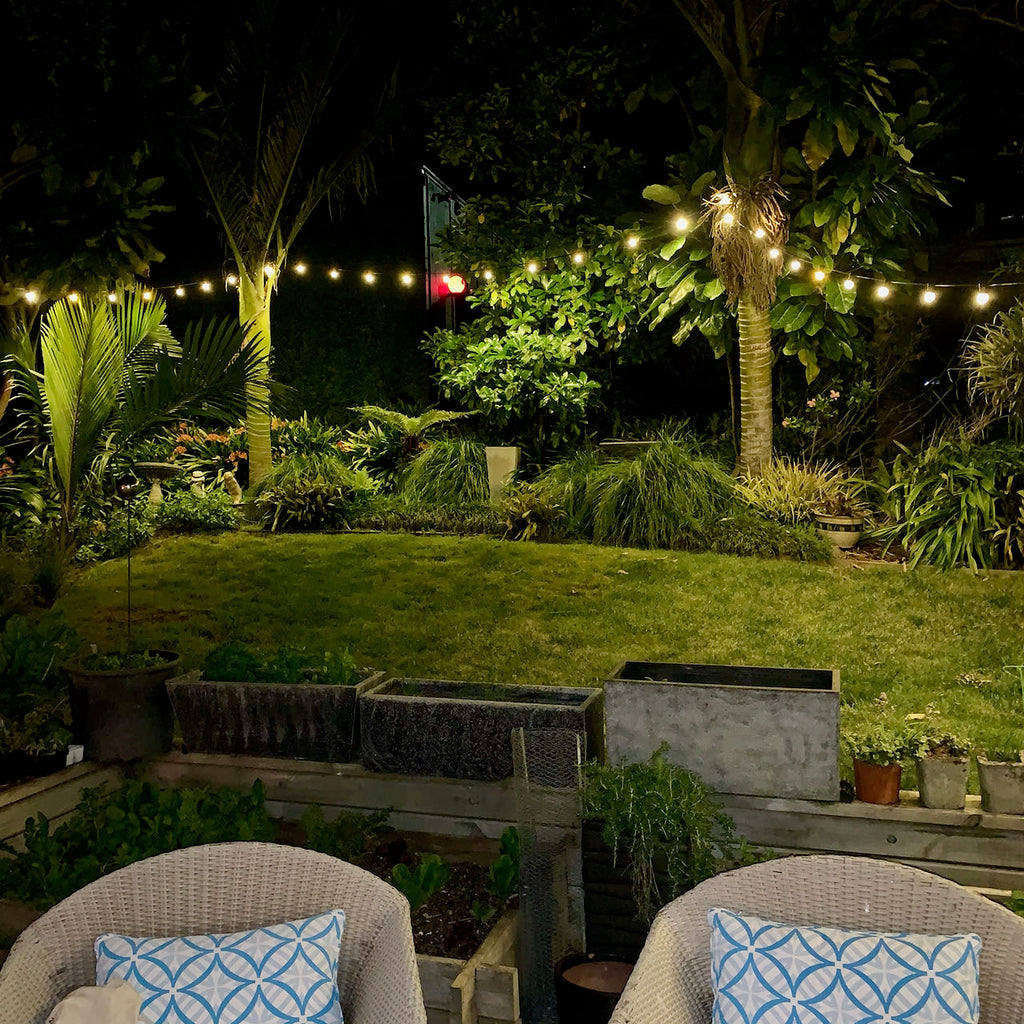 Festoon lighting - Warm White (Clear bulbs)