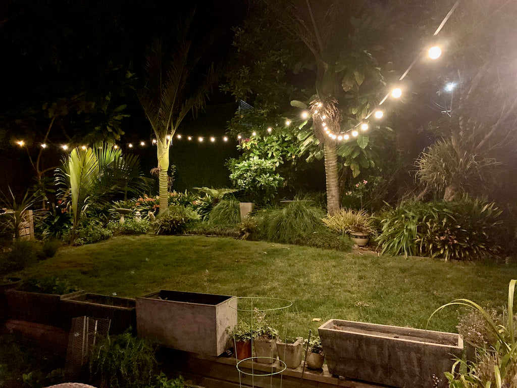 Festoon Lighting Hire - White Bulbs