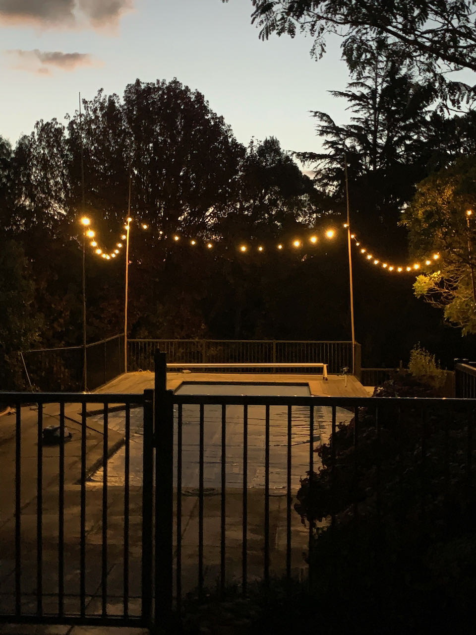 Festoon lighting - Warm White (Clear bulbs)