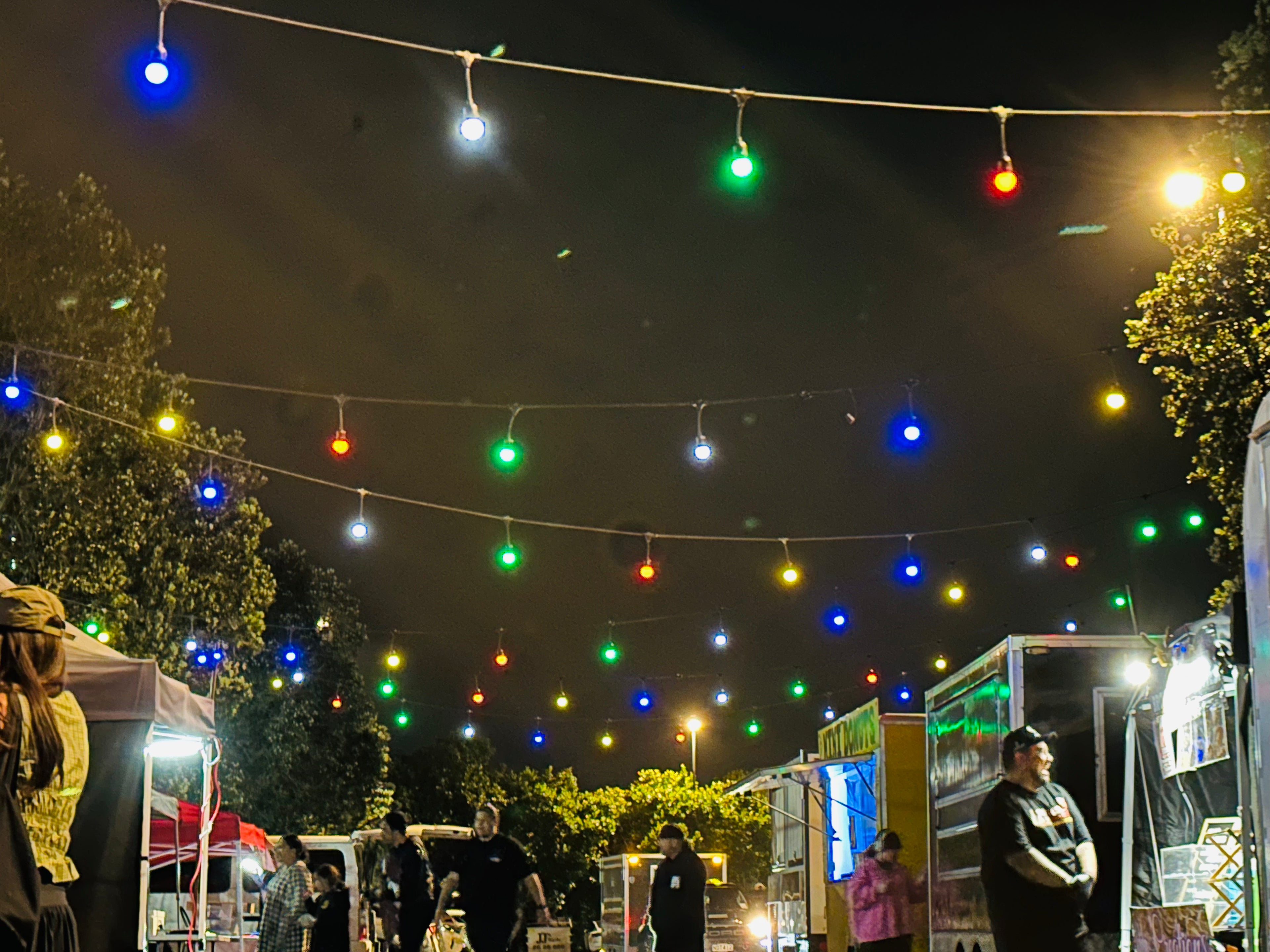 Festoon Lighting Hire - Coloured bulbs