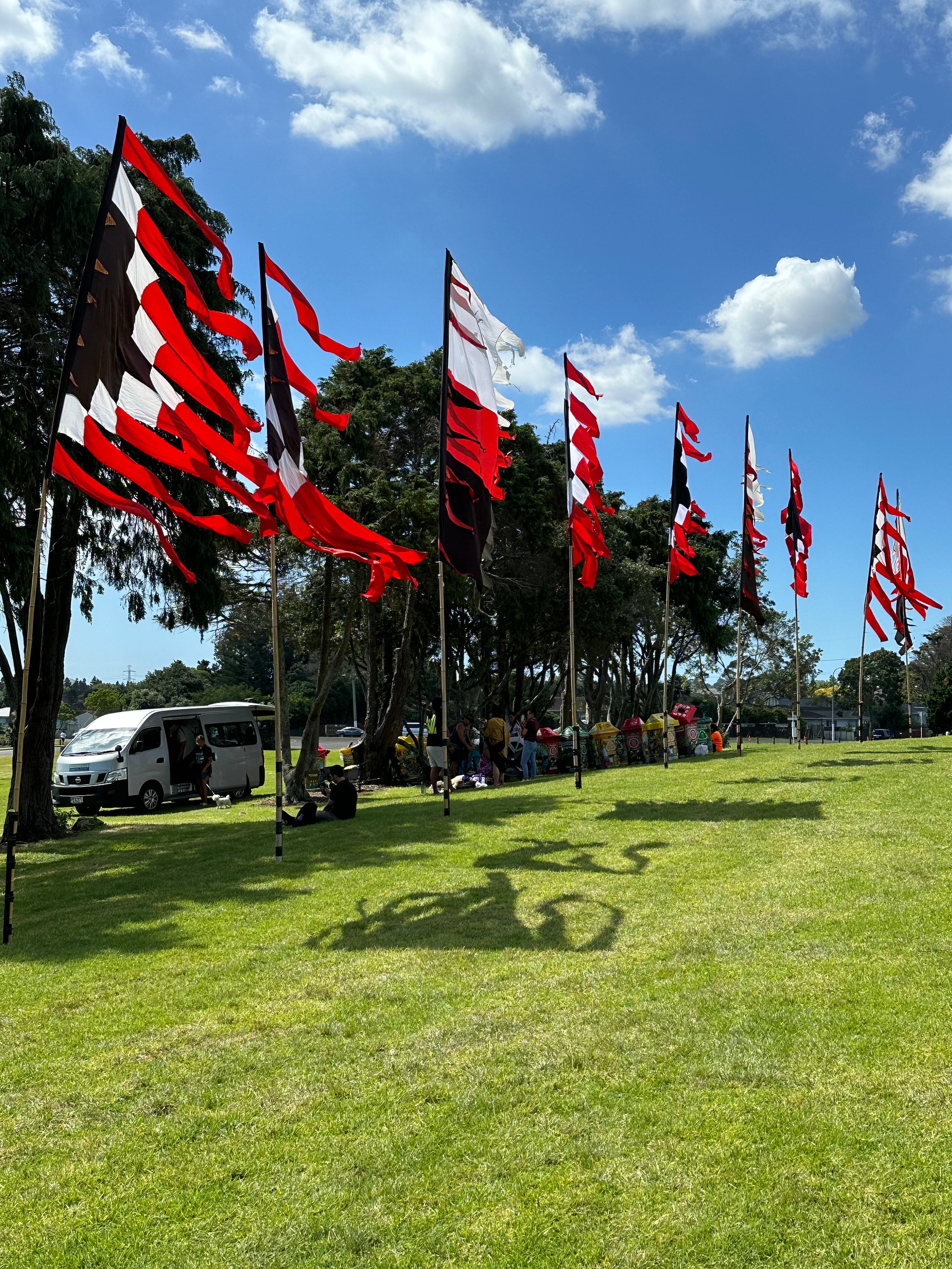 Flag Fiesta / Bunting Decoration Hire / Installation