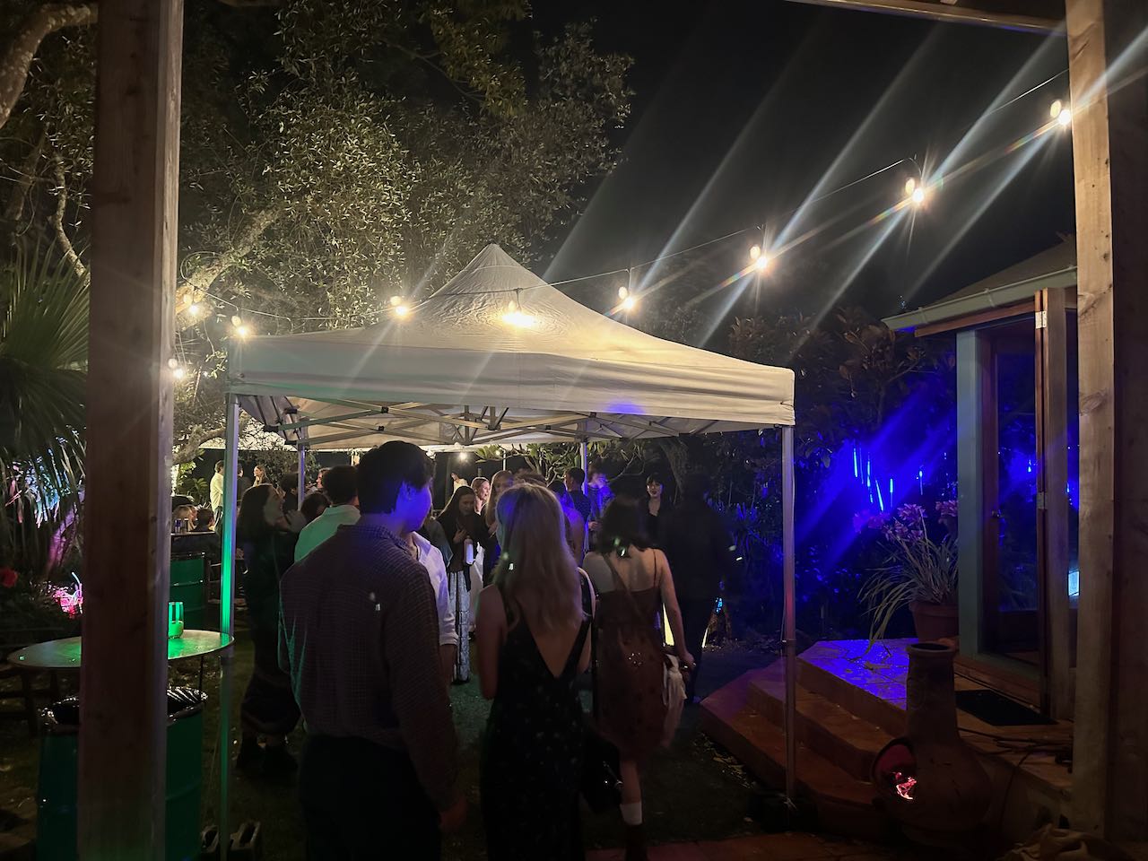 Festoon Lighting Hire - White Bulbs