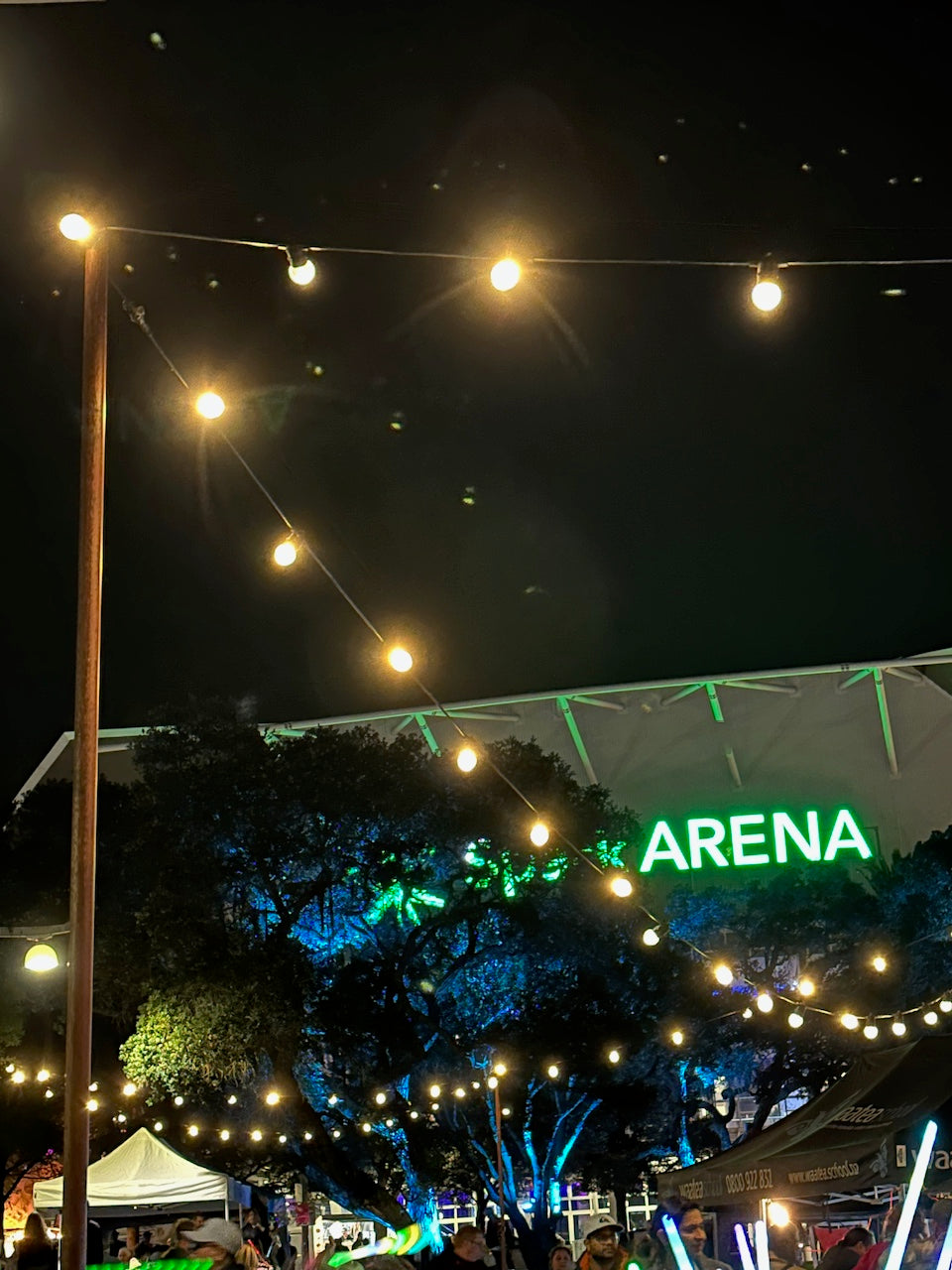 Festoon lighting - Warm White (Clear bulbs)