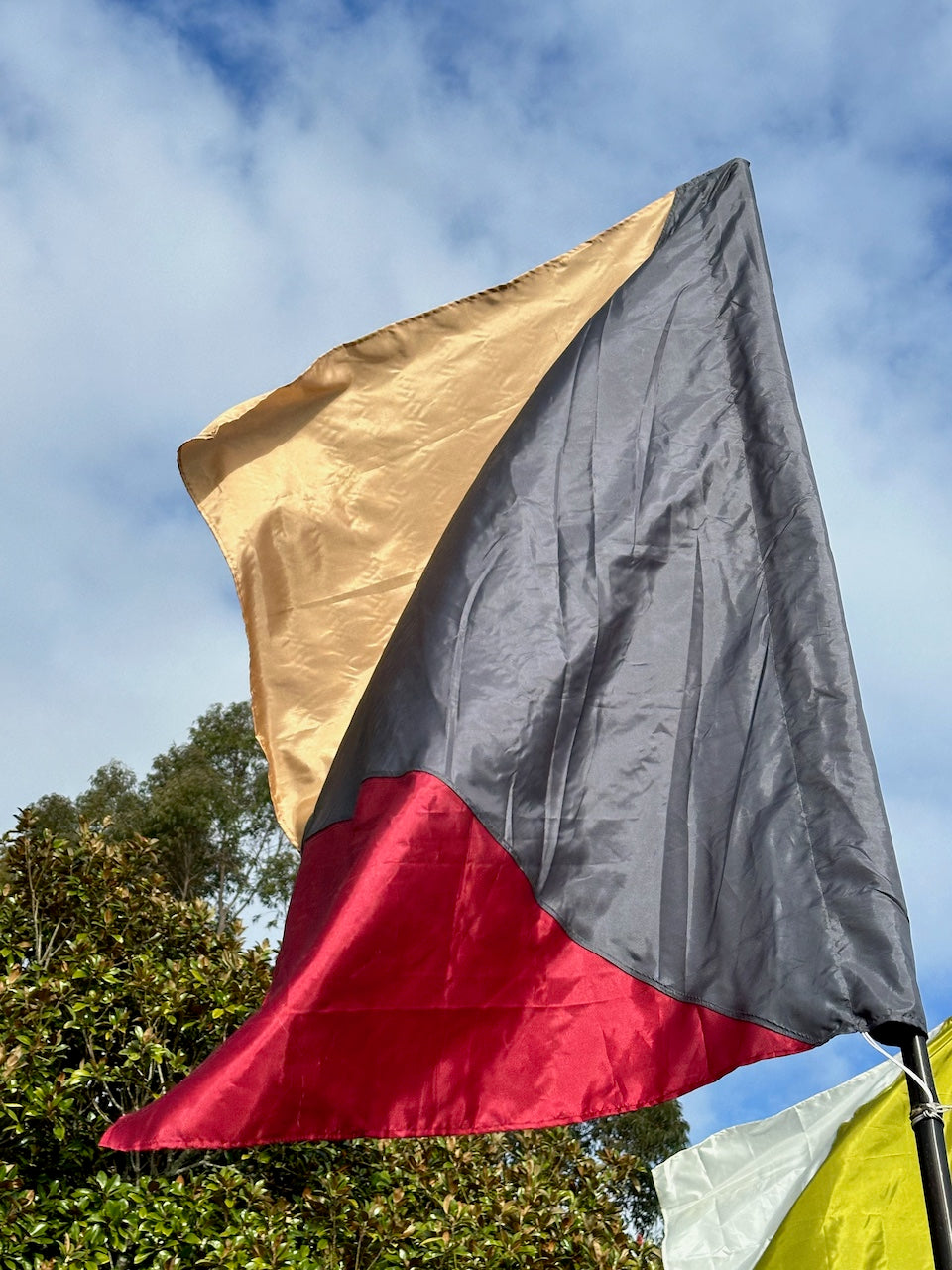 Flag Fiesta Installation / Hire (Copy)