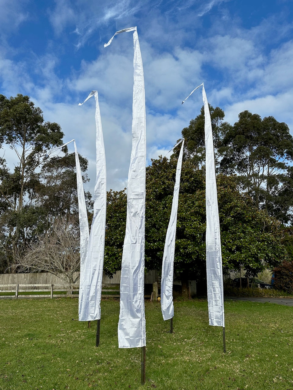 Flag Fiesta / Bunting Decoration Hire / Installation