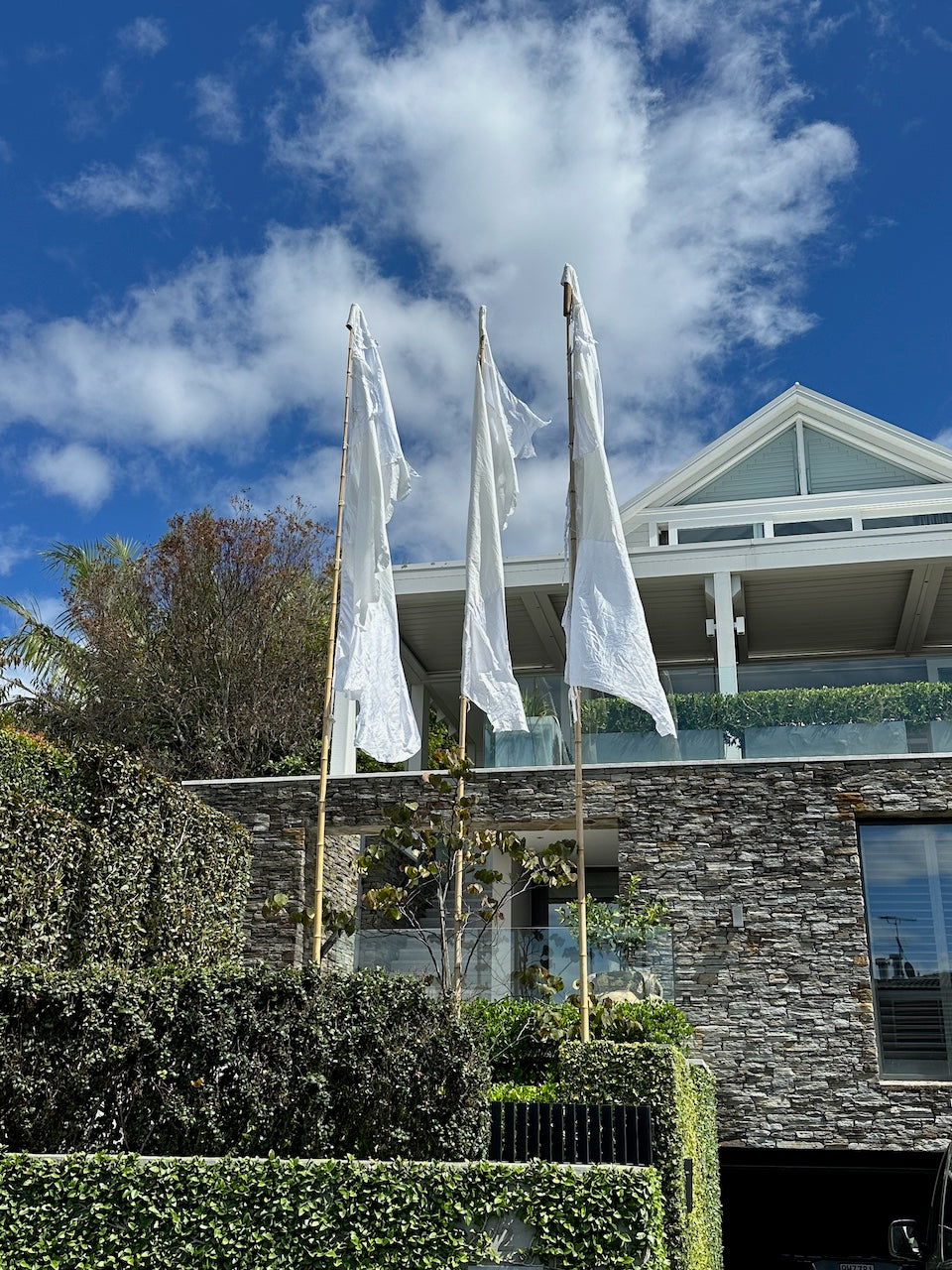 Flag Fiesta / Bunting Decoration Hire / Installation