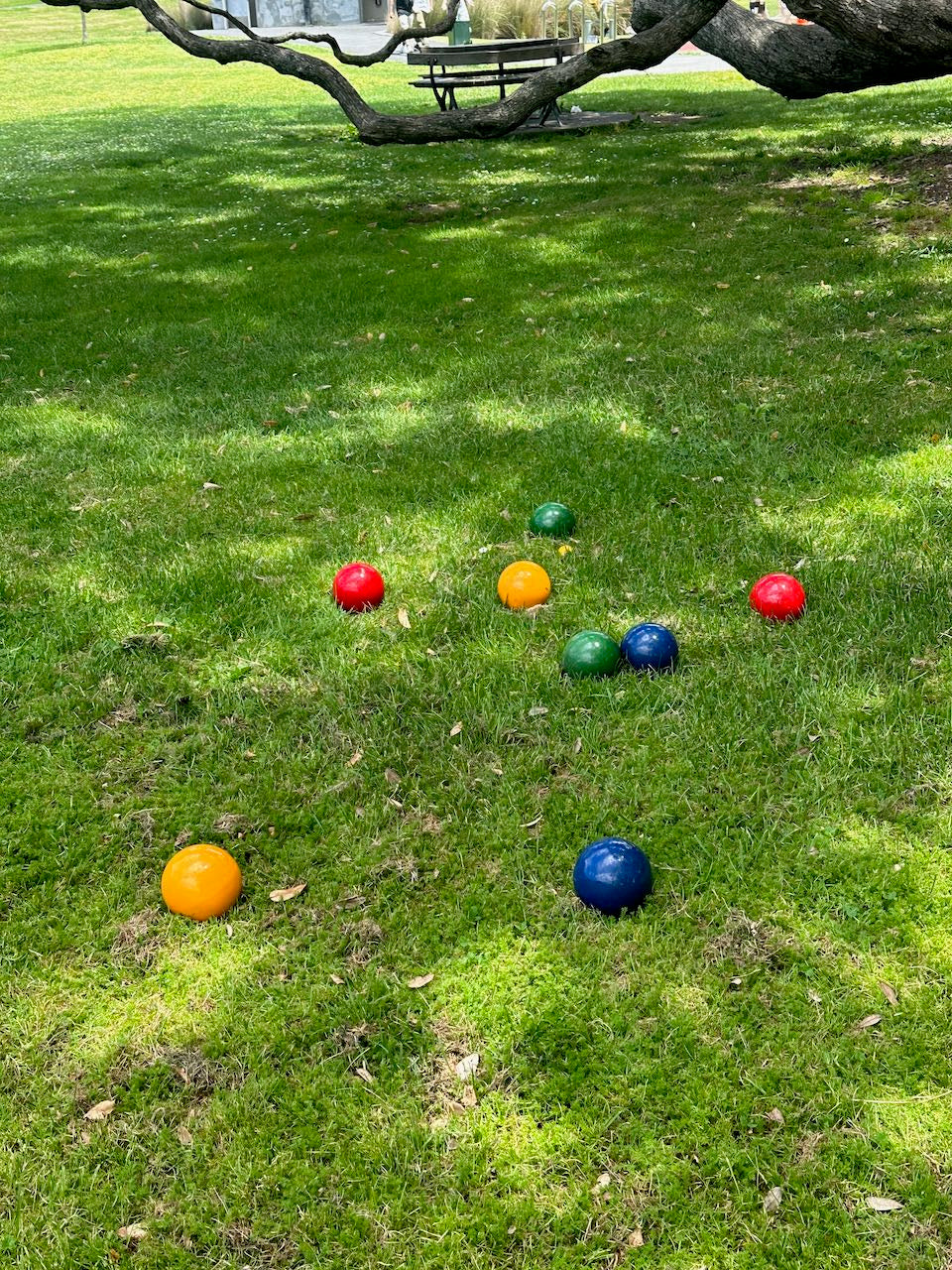 Backyard Bowls