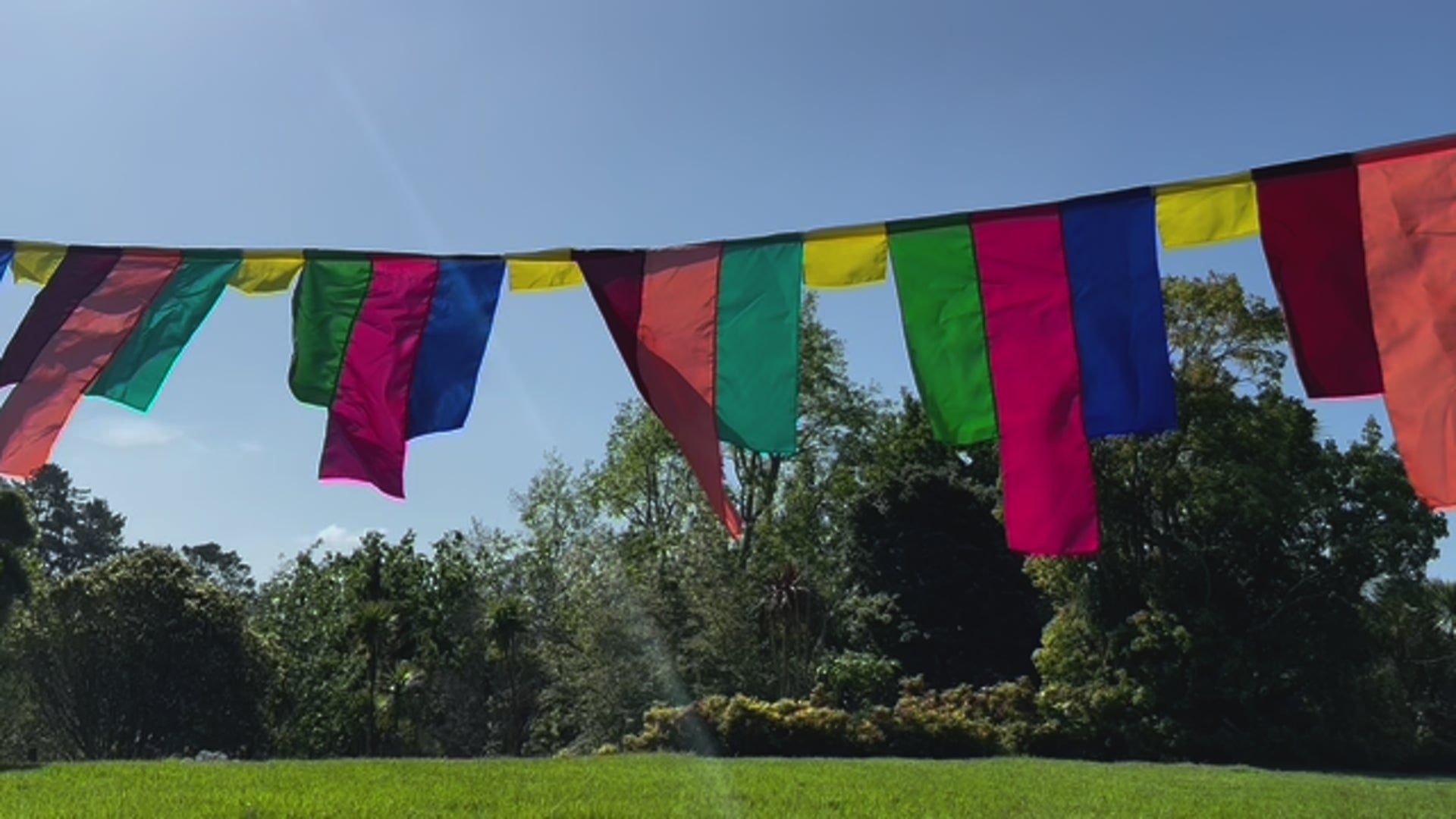 Flag Fiesta / Bunting Decoration Hire / Installation