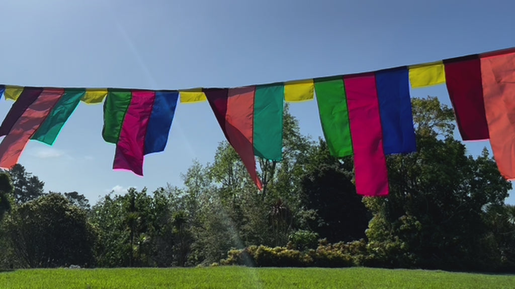 Flag Fiesta / Bunting Decoration Hire / Installation