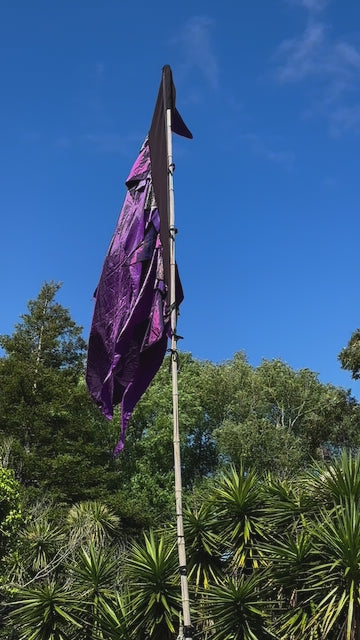 Flag Fiesta Installation / Hire