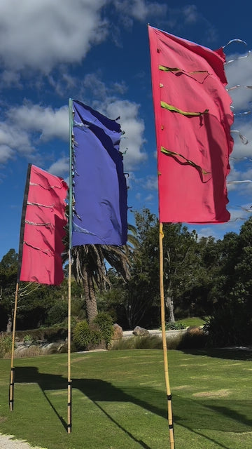 Flag Fiesta / Bunting Decoration Hire / Installation