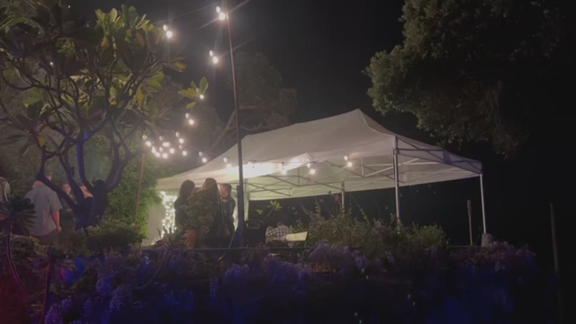 Festoon lighting - Warm White (Clear bulbs)