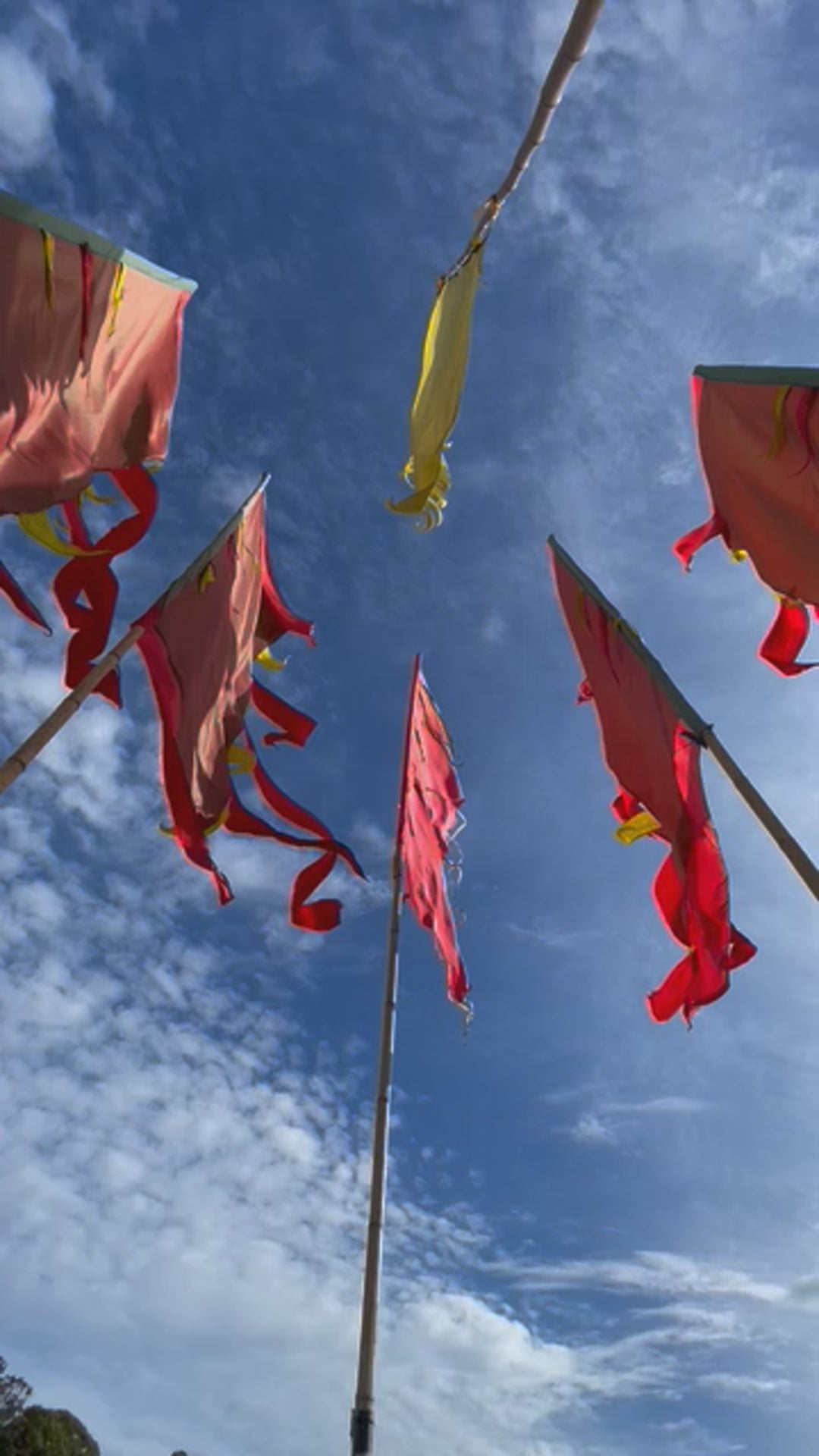 Flag Fiesta / Bunting Decoration Hire / Installation