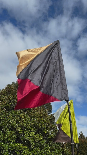 Flag Fiesta Installation / Hire (Copy)