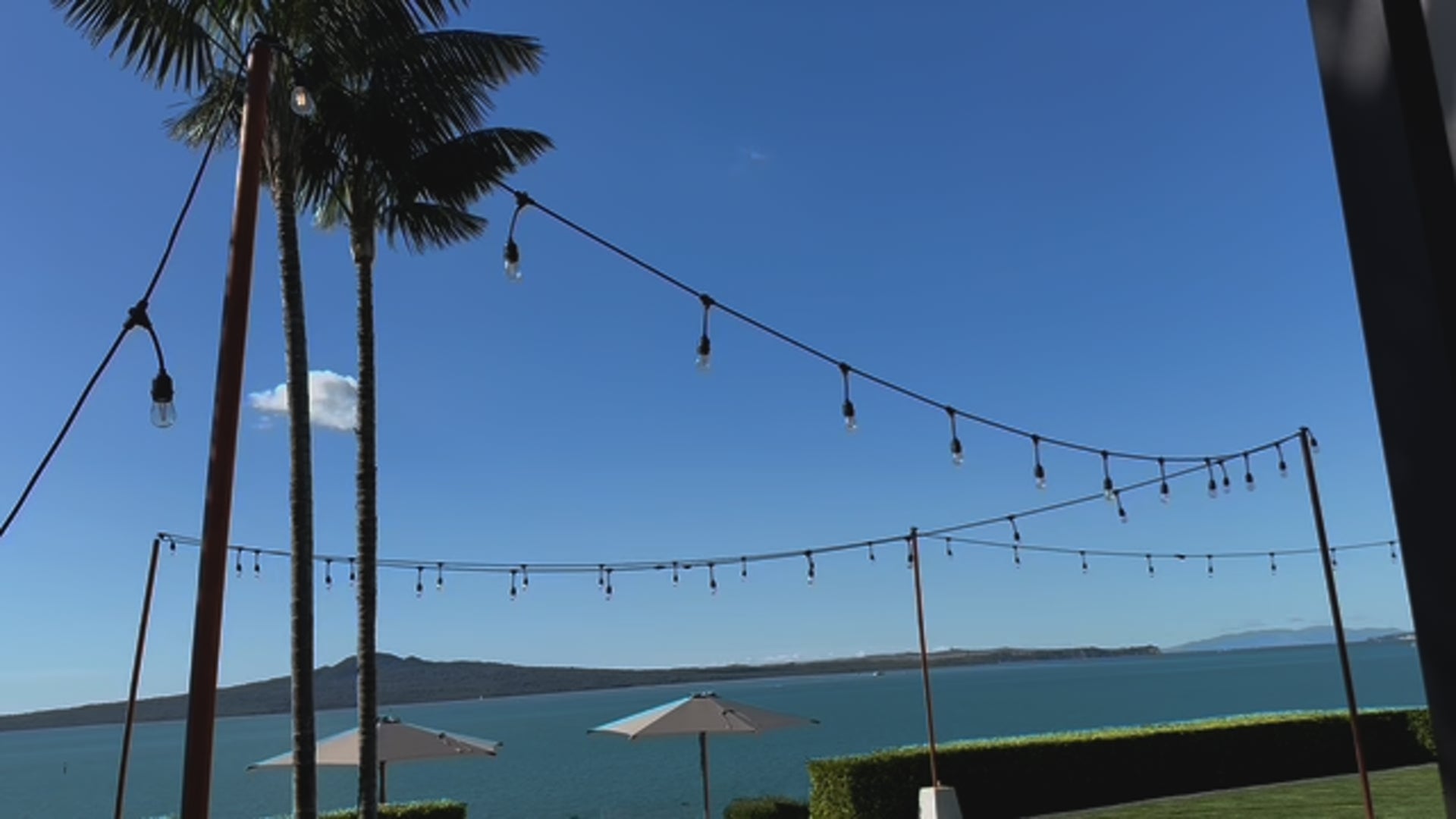 Festoon Lighting Hire - White Bulbs