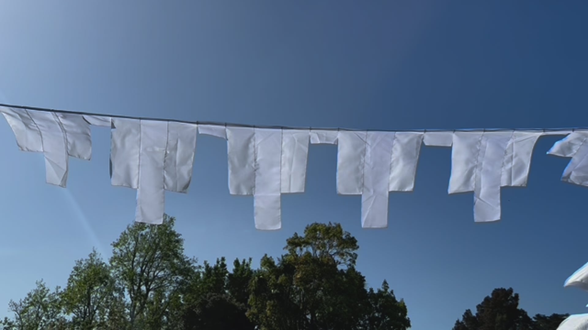 Flag Fiesta / Bunting Decoration Hire / Installation