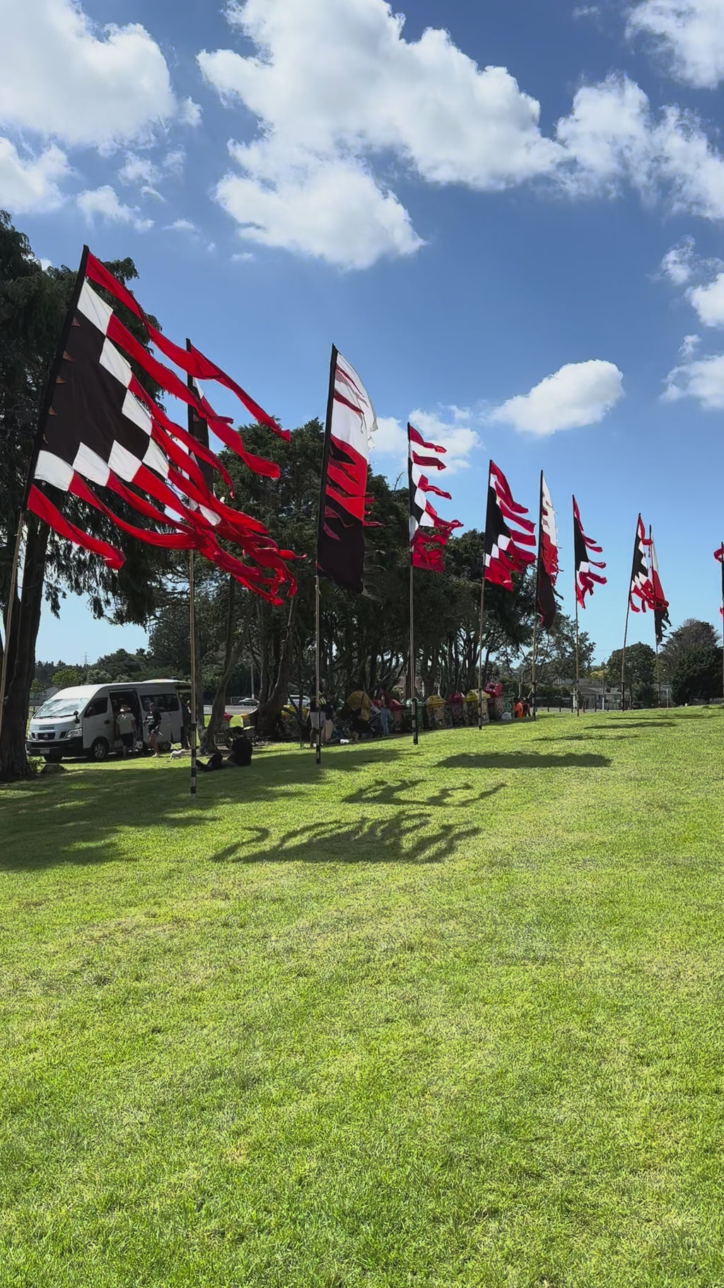 Flag Fiesta / Bunting Decoration Hire / Installation