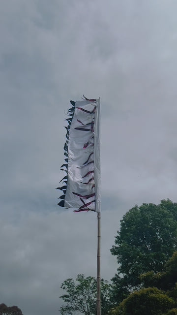 Flag Fiesta Installation / Hire
