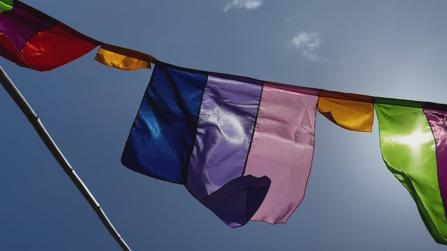 Flag Fiesta / Bunting Decoration Hire / Installation