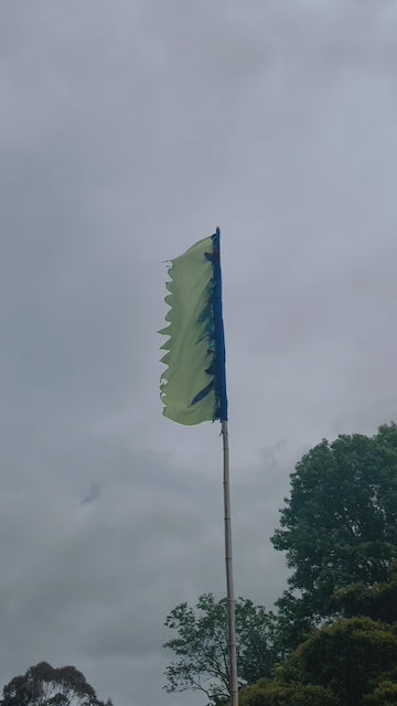 Flag Fiesta  Hire / Installation