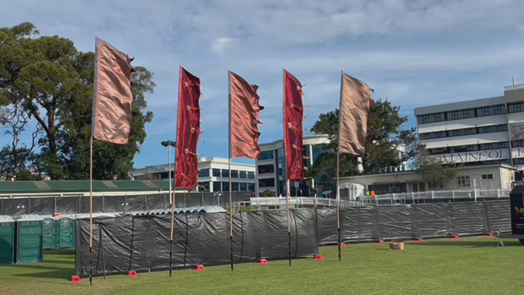 Symphony in the Domain 23'