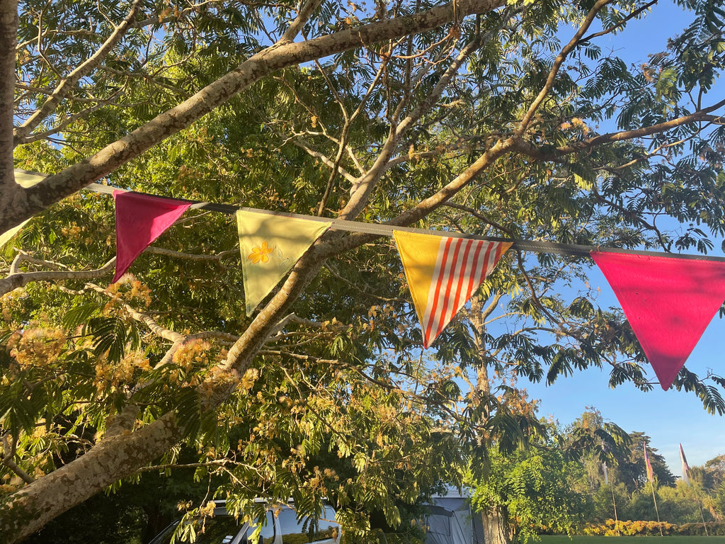 Flag Fiesta / Bunting Decoration Hire / Installation