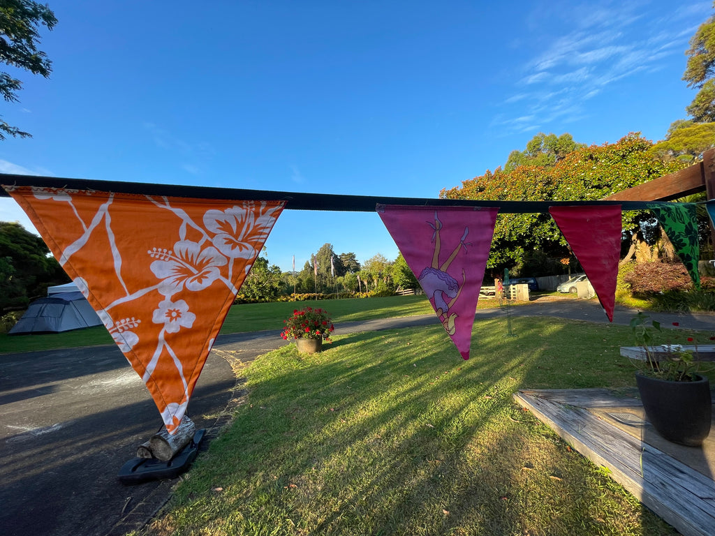 Flag Fiesta / Bunting Decoration Hire / Installation