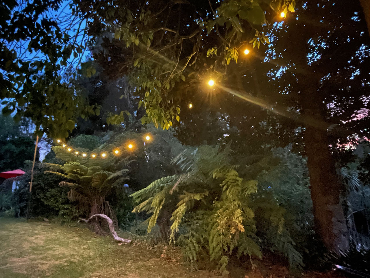 Festoon Lighting Installation