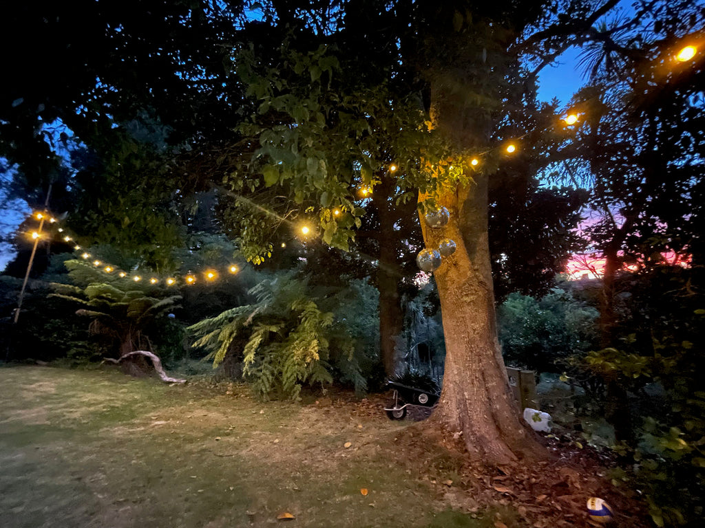 Festoon Lighting Installation